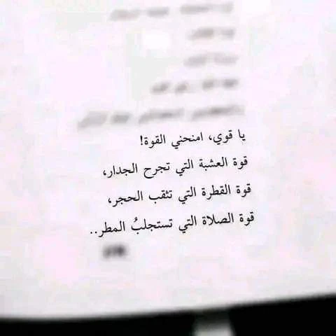 المنتج