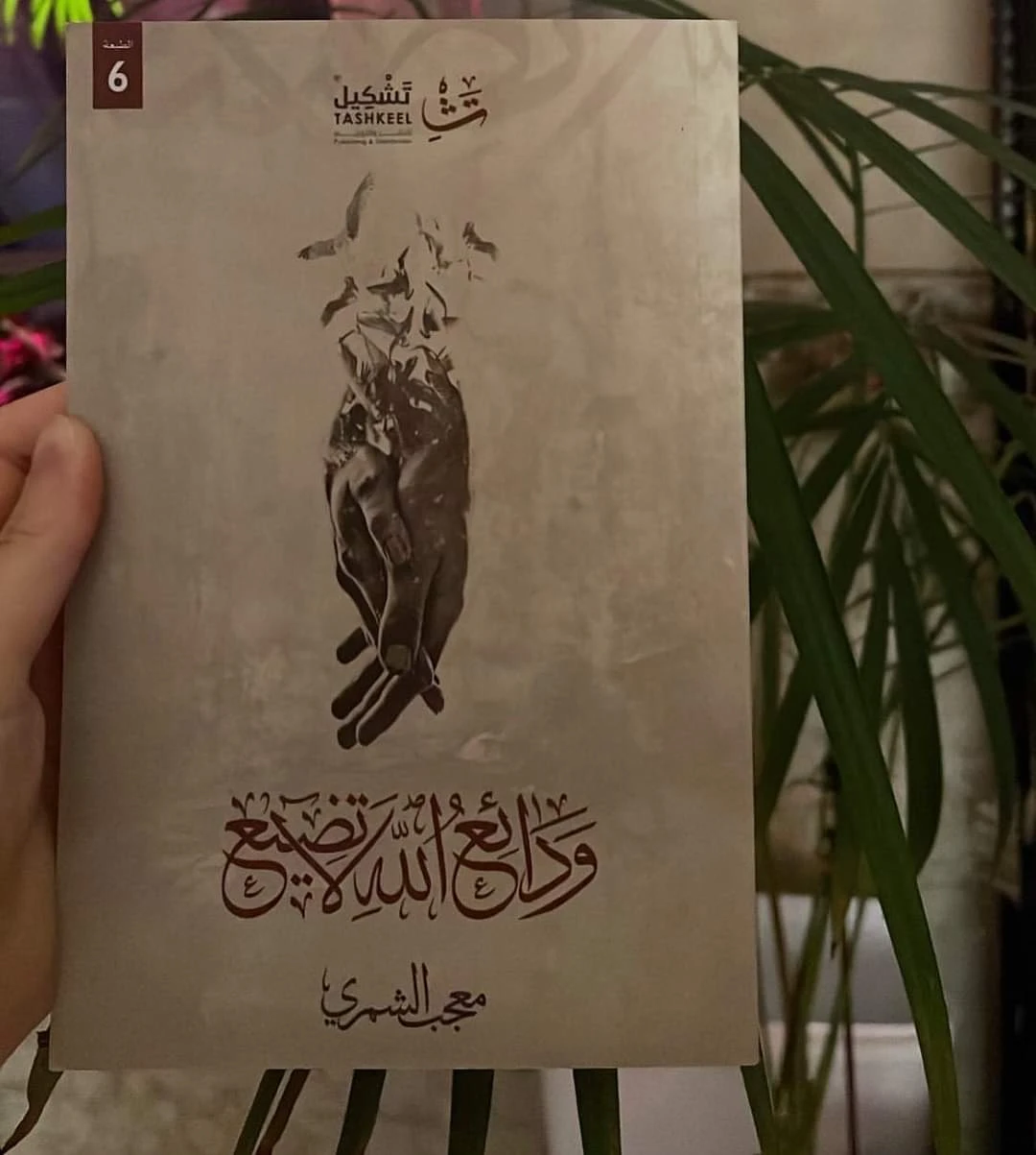 المنتج