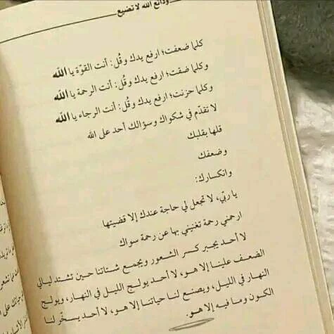المنتج