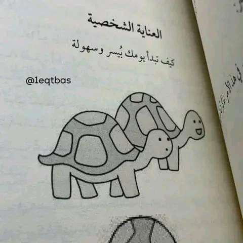 المنتج