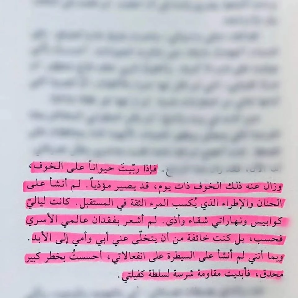 المنتج