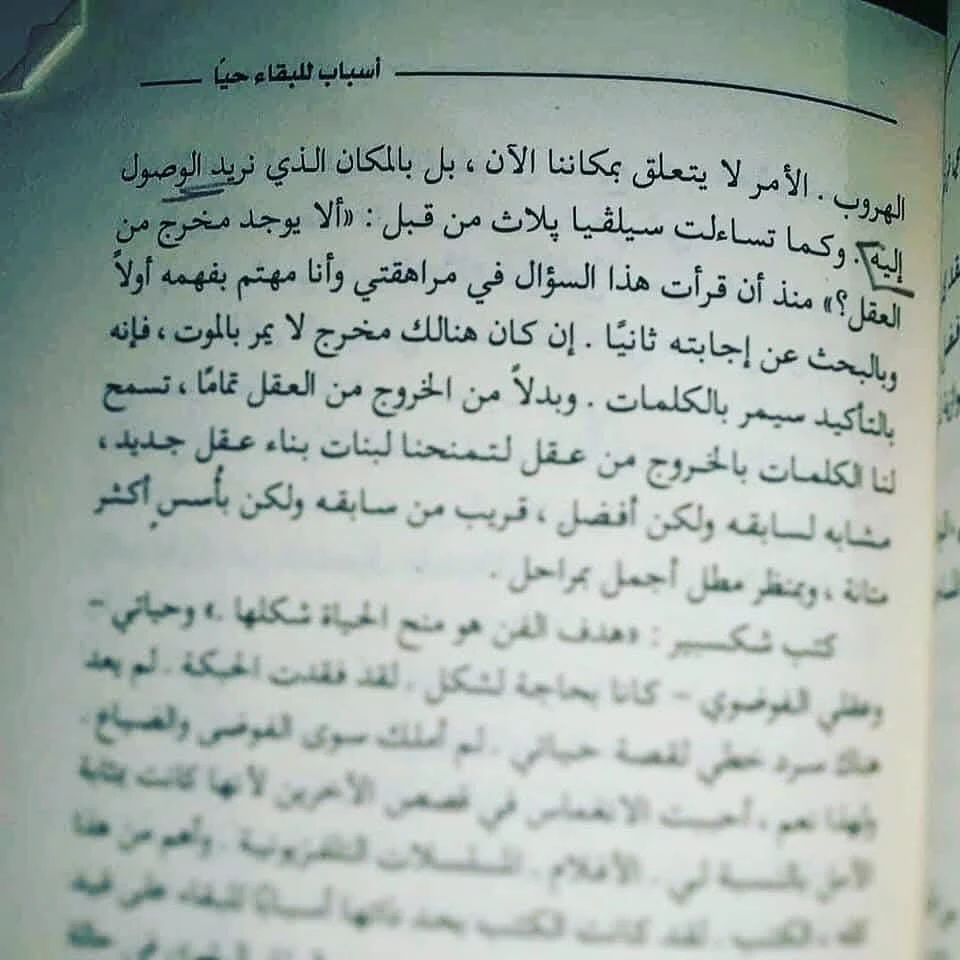 المنتج